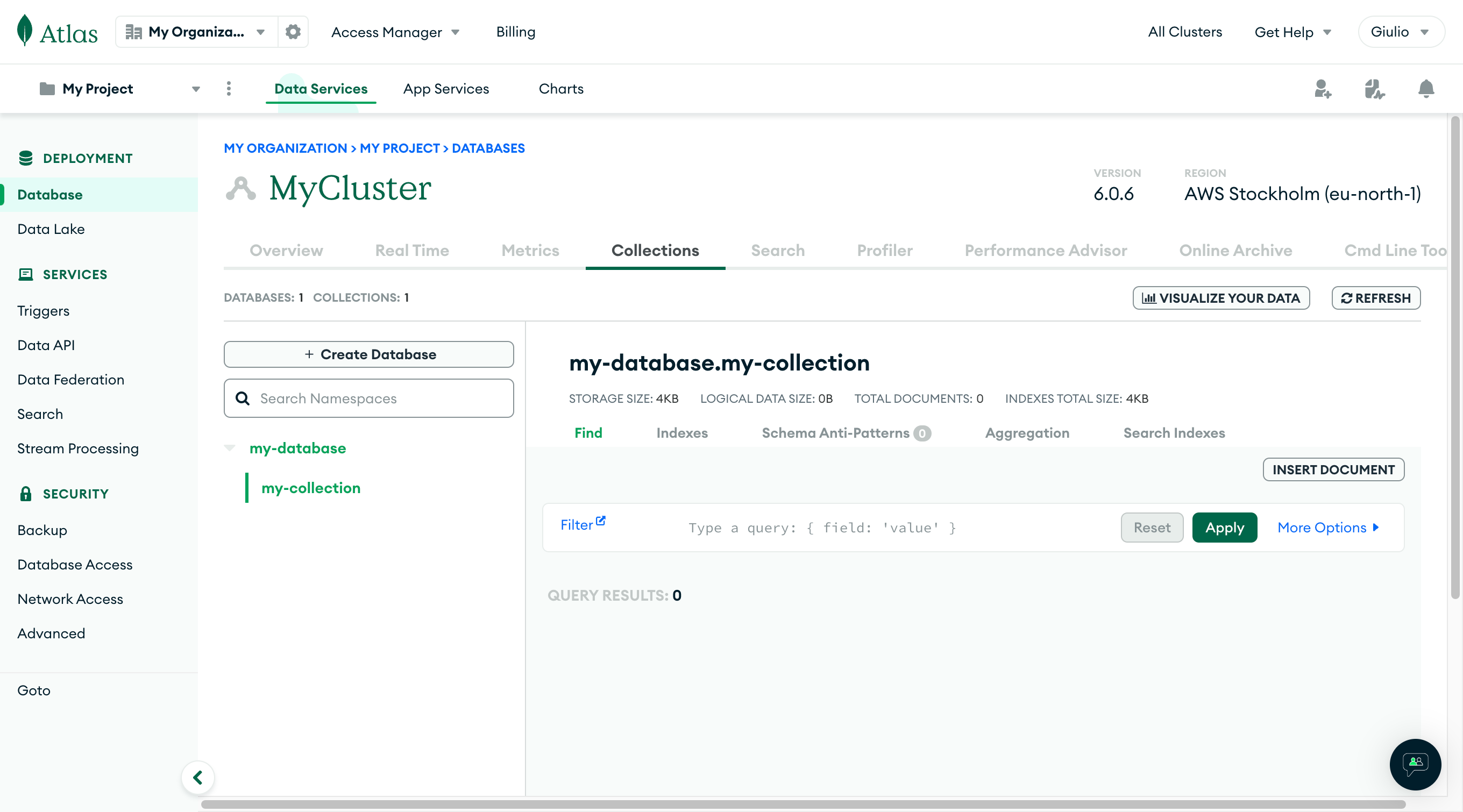 A database and collection in MongoDB Atlas